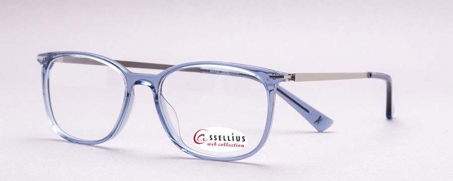 Brillenfassung Modell Tiergartenviertel aus der Cassellius Webkollektion
